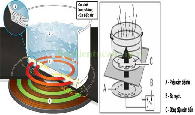 cơ chế hoạt động của bếp từ