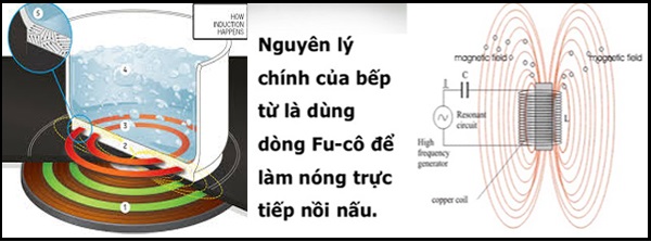 nguyên lý hoạt động của bếp từ nhập khẩu